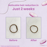 Earth Like Onion Hair Oil